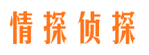 迭部侦探公司